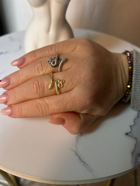 Anello Snake