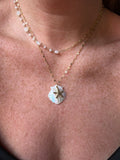 Collana conchiglia 🐚