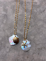 Collana conchiglia 🐚