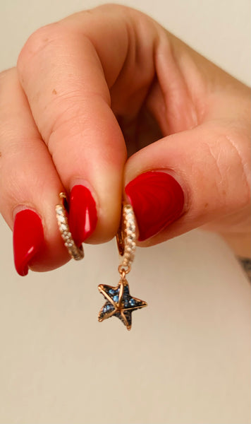 Orecchini Stella Marina scattino